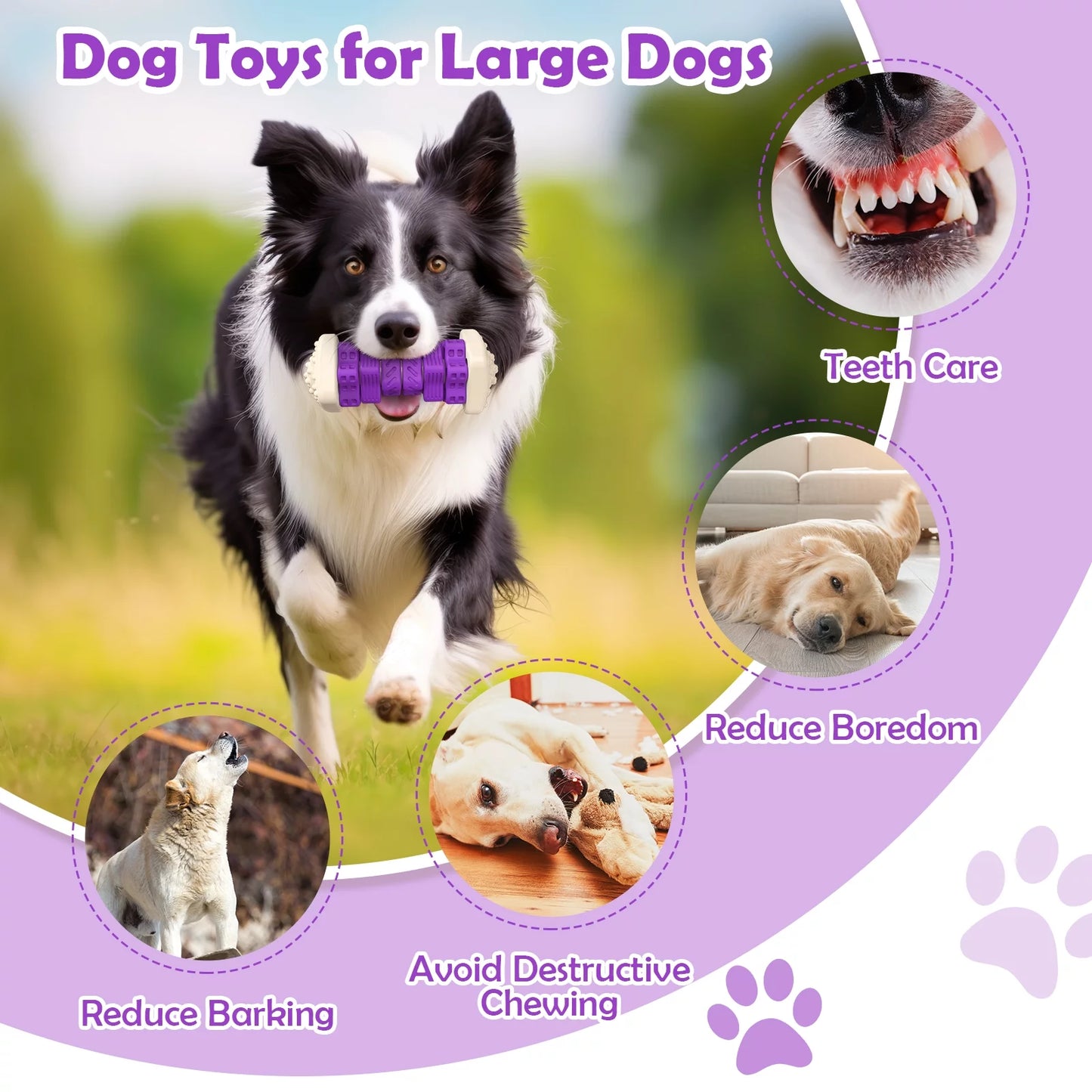 Brighten Your Pup's Day with the Interactive Chew Toy - Perfect for Aggressive Chewers! 🐶💜